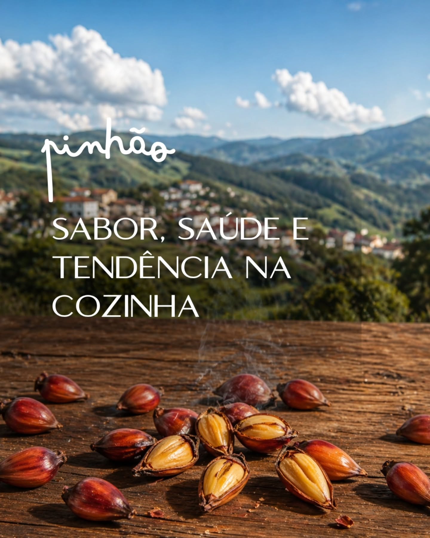 festival-do-pinhao-cunha