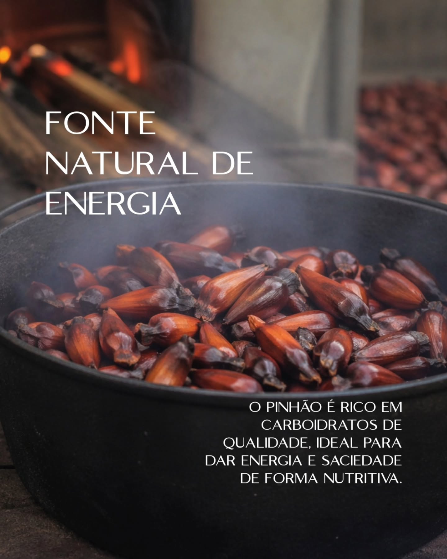 festival-do-pinhao-cunha
