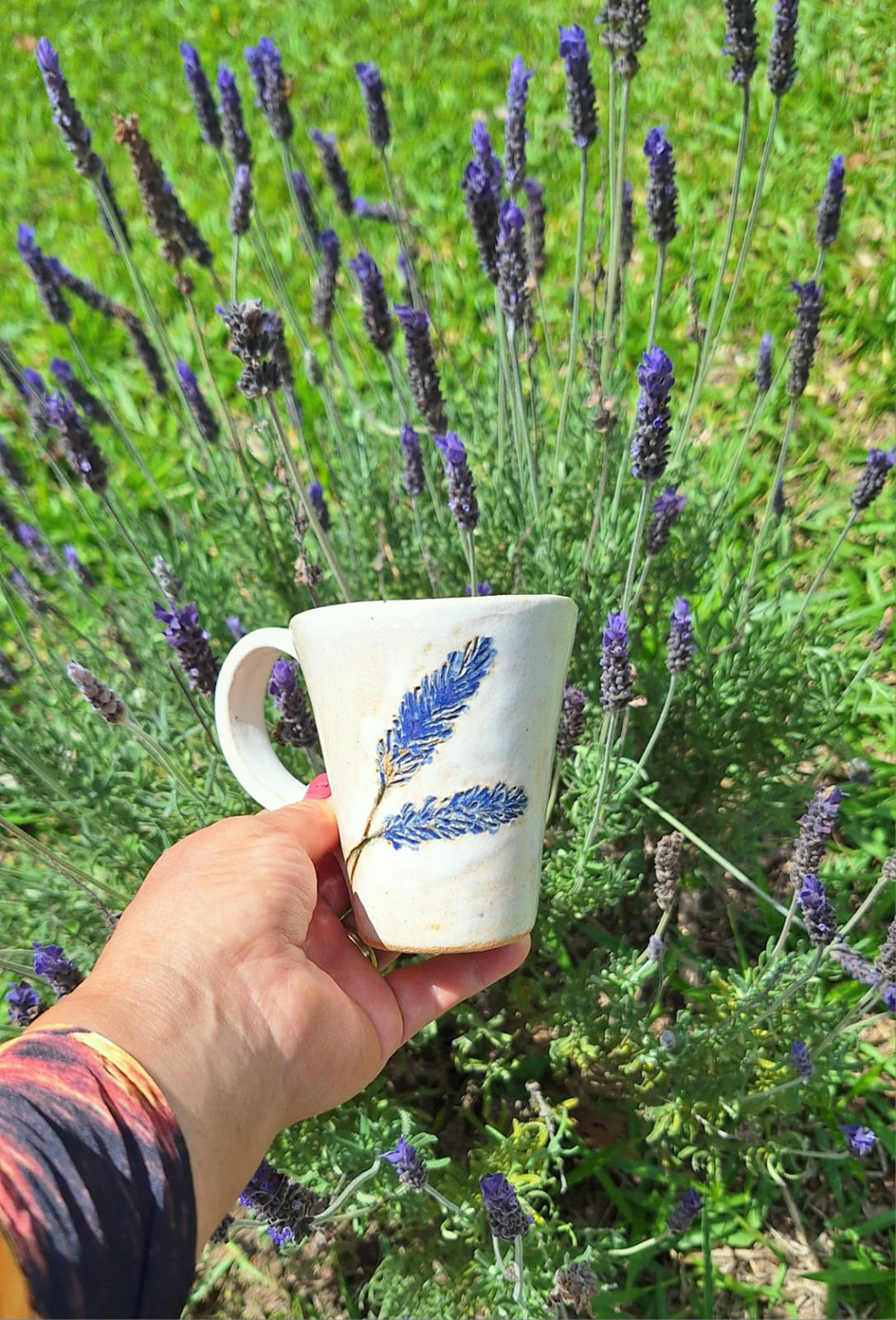 Rota da Lavanda