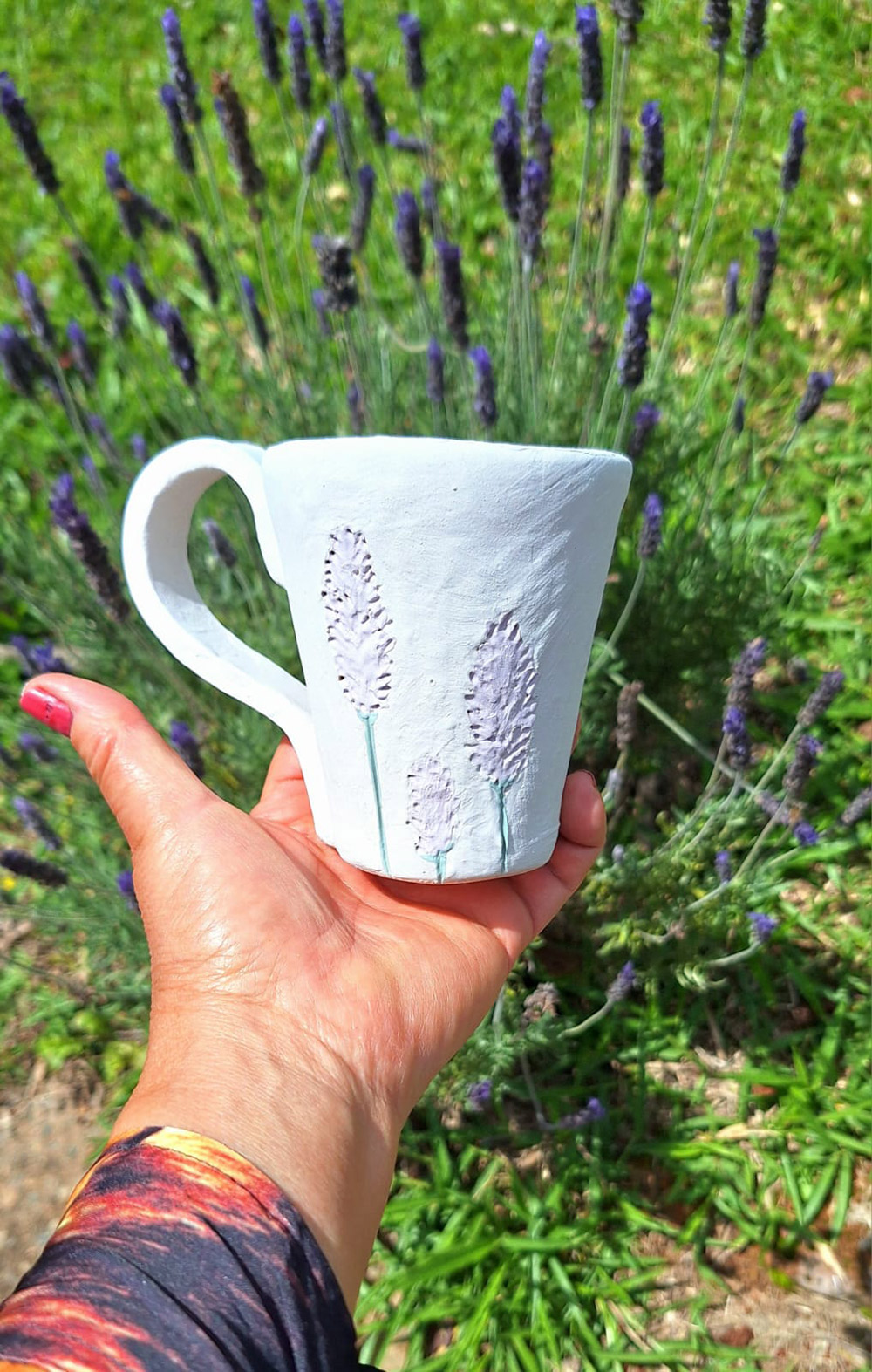 Rota da Lavanda